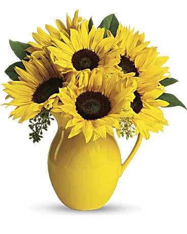 t153-1a sunny day pitcher